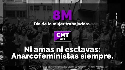 CNT-AIT_8M